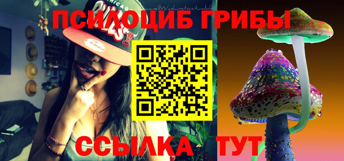 Междуреченск  Галлюциногенные грибы Magic Shrooms  купить наркотики сайты  Вход с VPN 