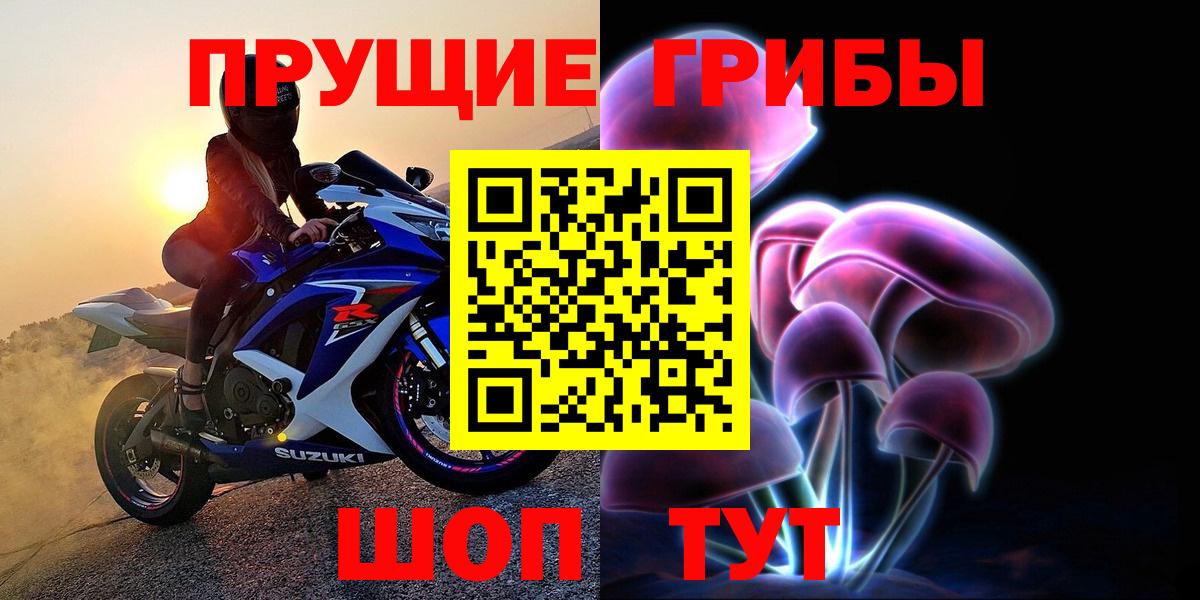 Псилоцибиновые грибы Psilocybe Междуреченск
