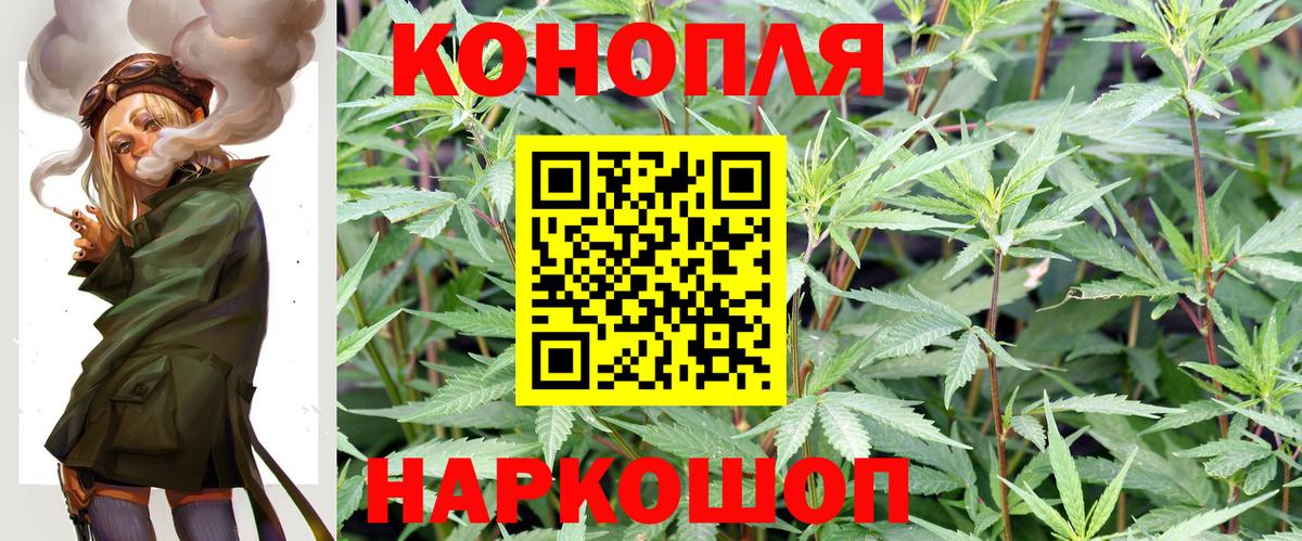 Бошки Шишки сатива Междуреченск